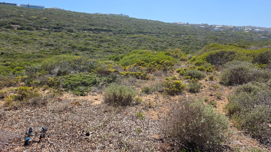 Commercial Property for Sale in Moquini Coastal Estate Western Cape